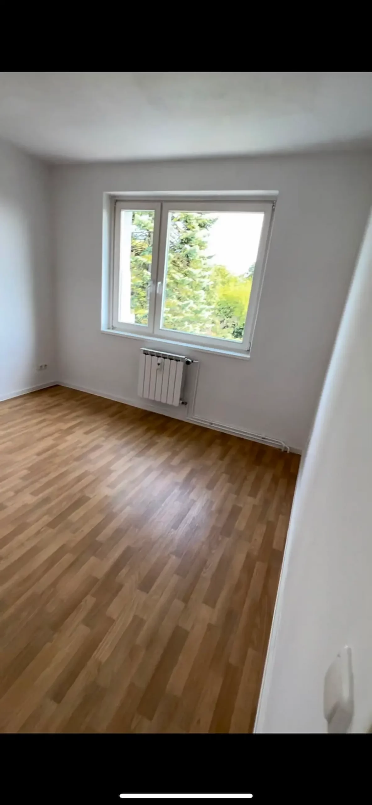Leeres Zimmer einer Berliner Wohnung während einer Haushaltsauflösung