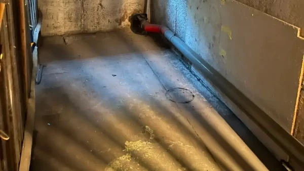 Was kostet eine Entrümpelung?